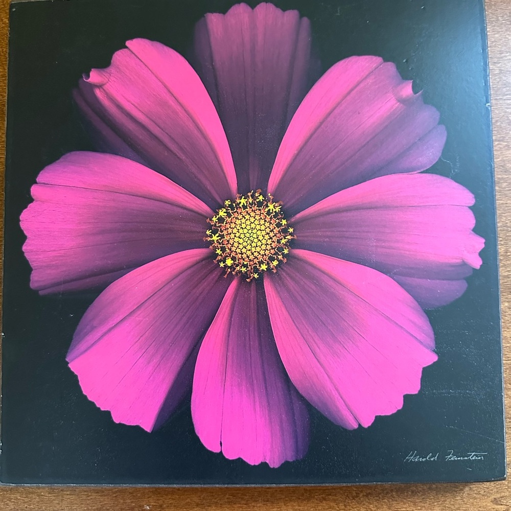 Wall hanging